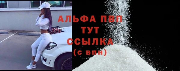 меф Арсеньев