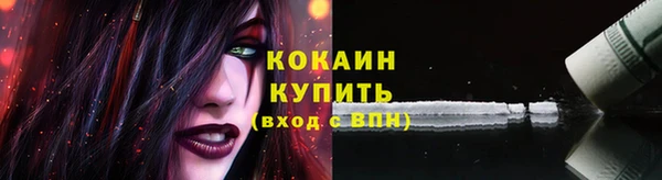 крисы Армянск