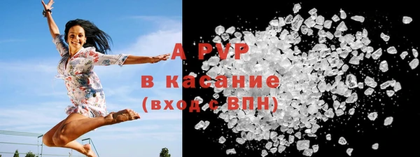 эйфоретик Аркадак
