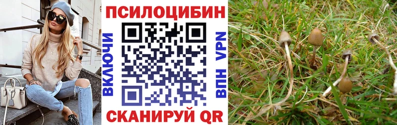Галлюциногенные грибы Cubensis  мега вход  Тайшет 